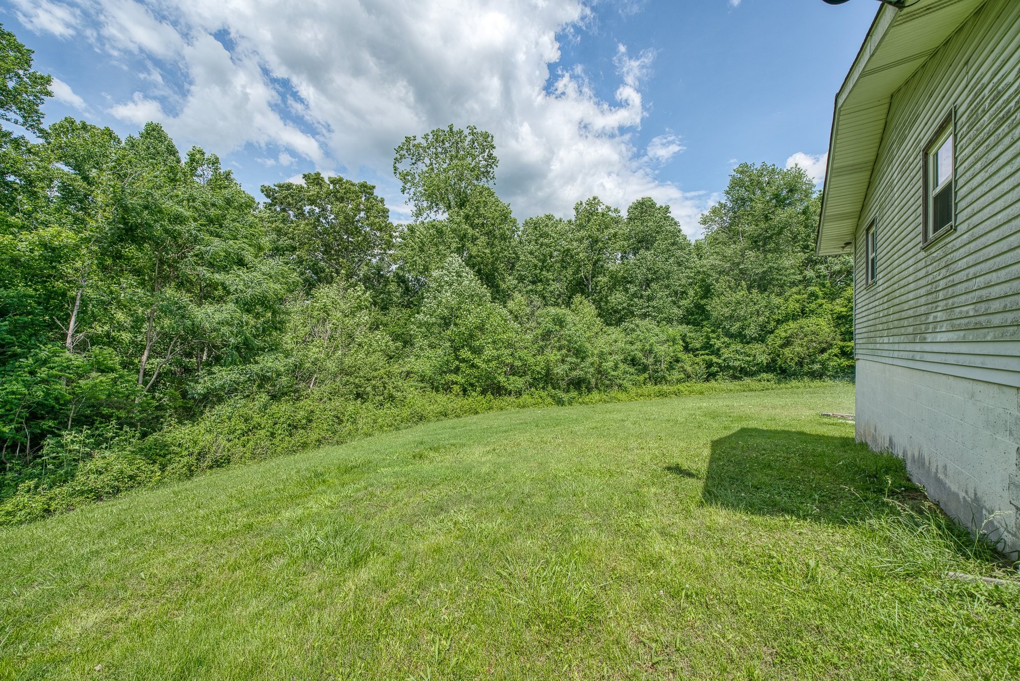 1121 East Gooseneck Road Doyle, TN 38559 - Photo 12 of 20 a view of a garden