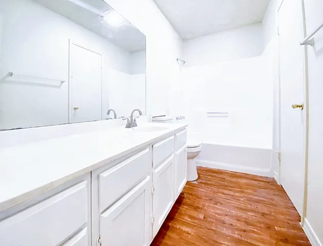 a bathroom with a sink and a vanity
