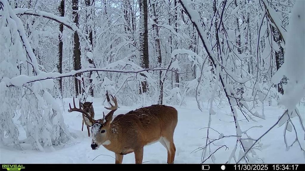 9 Comet Road Exeland, WI 54835 - Photo 12 of 26