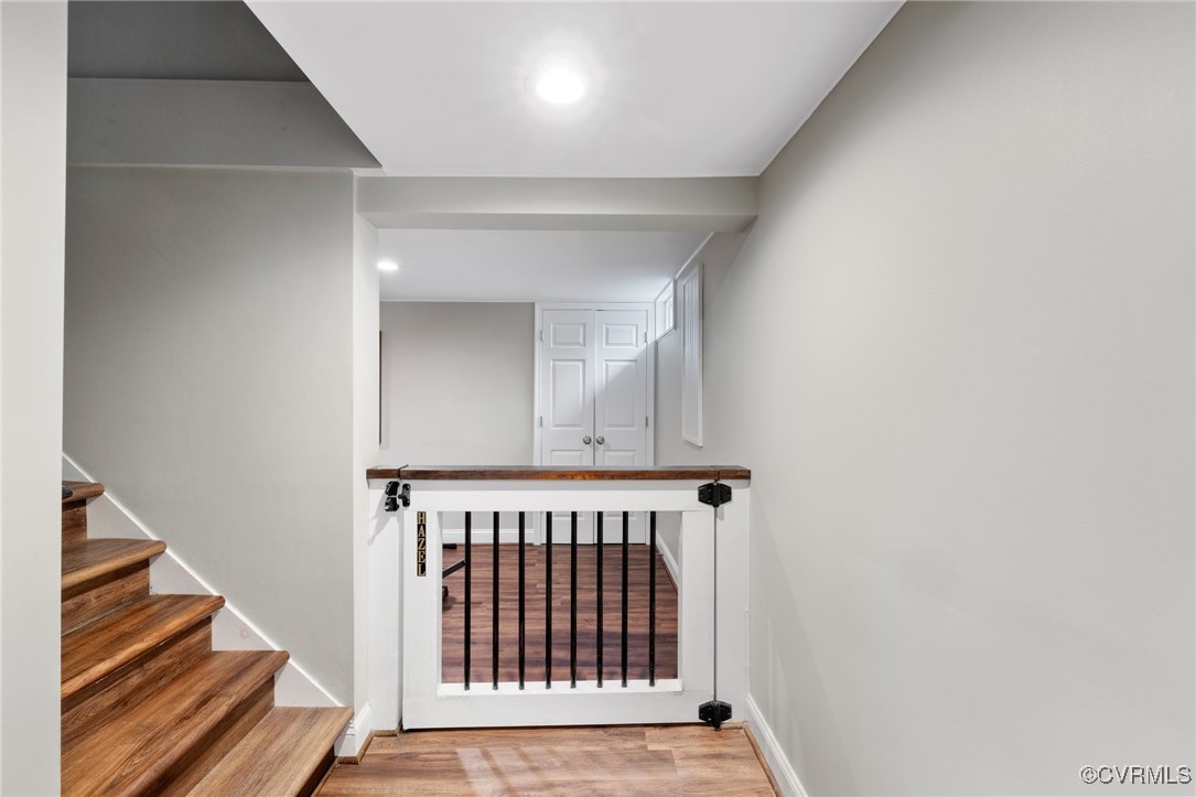 6618 Three Chopt Road Richmond, VA 23226 - Photo 28 of 36 Custom gate in basement