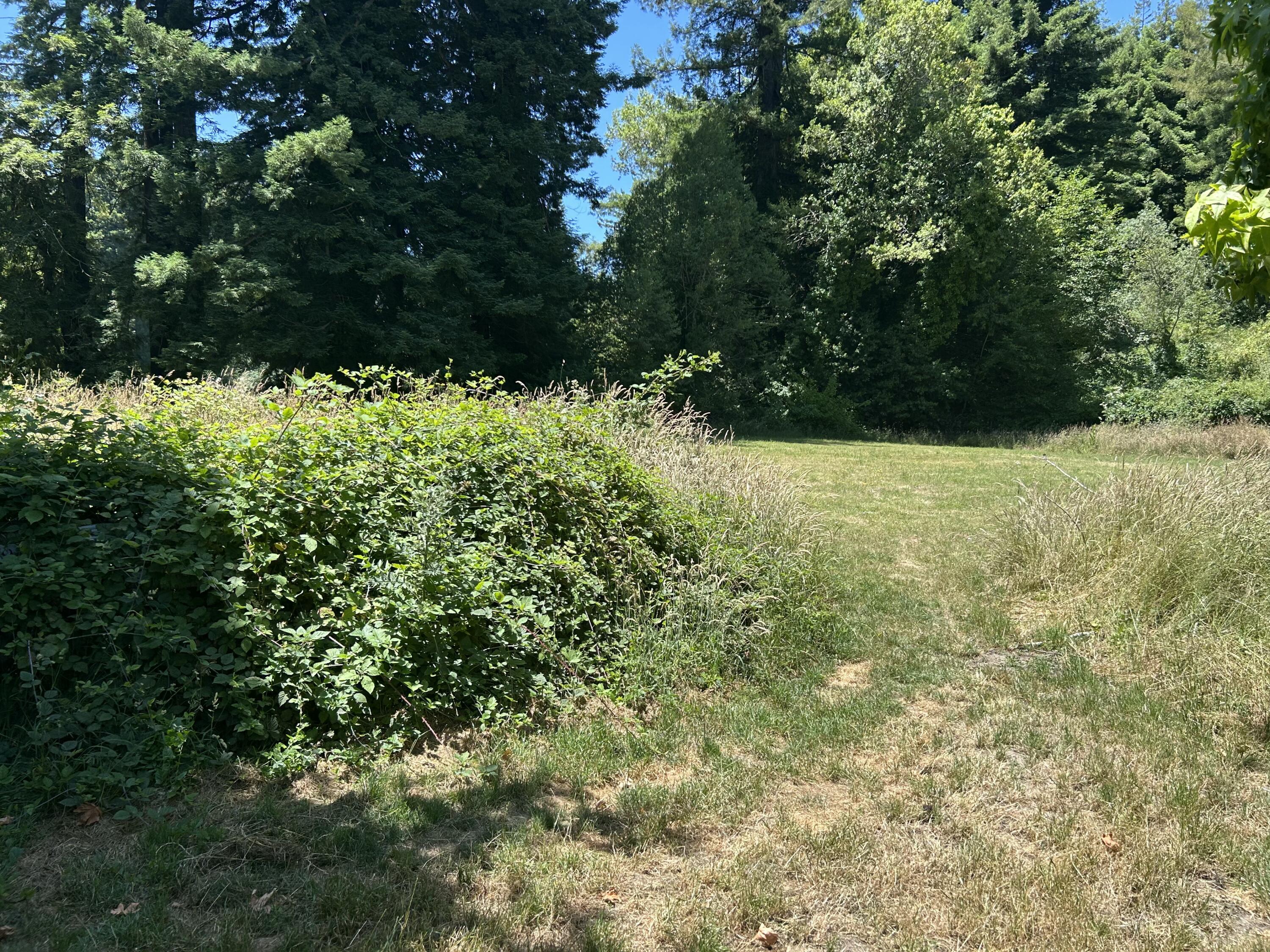 253 Price Creek Road Ferndale, CA 95536 - Photo 27 of 64
