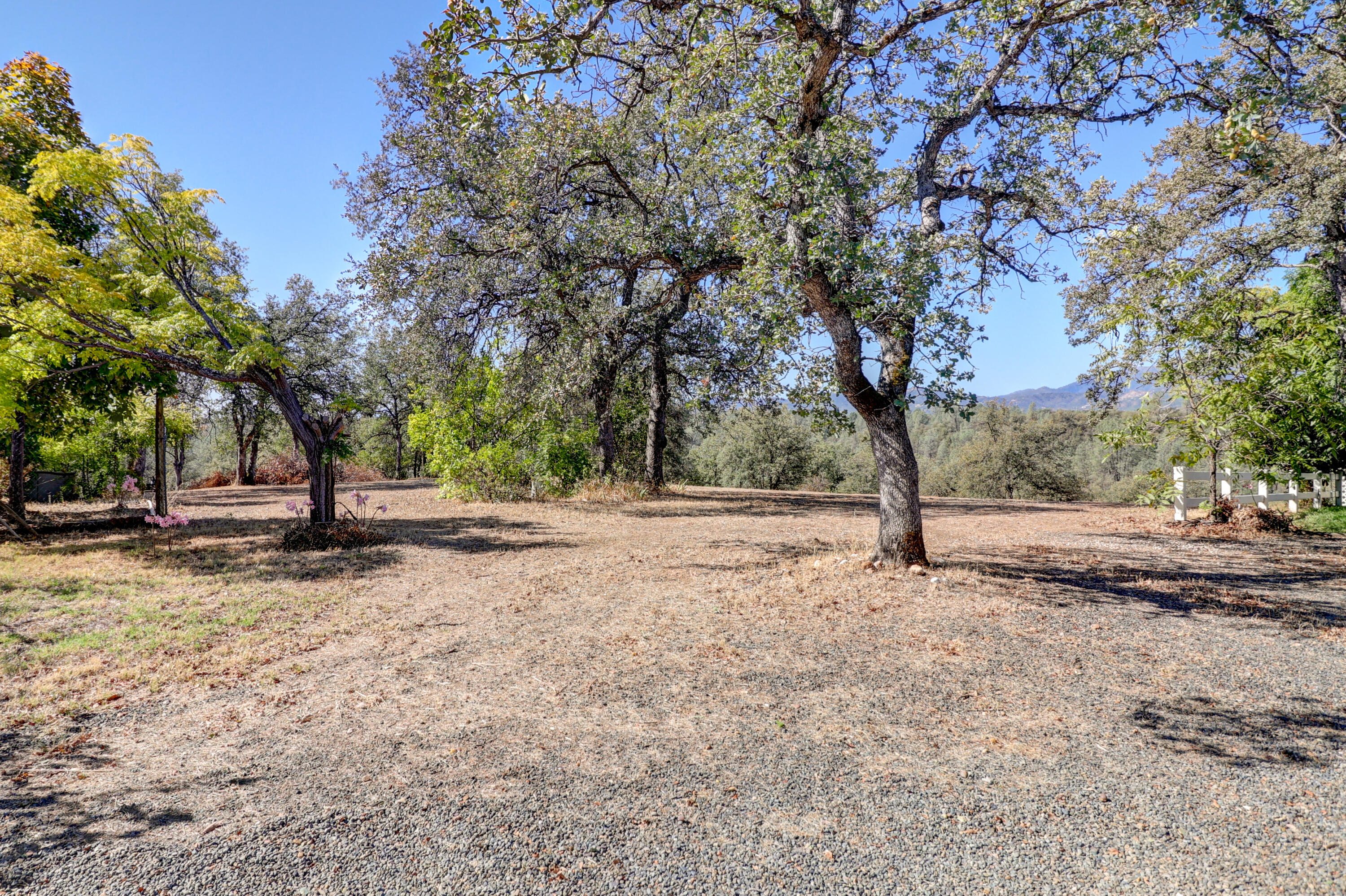 3295 Santa Rosa Way Redding, CA 96003 - Photo 6 of 55 Great Backyard