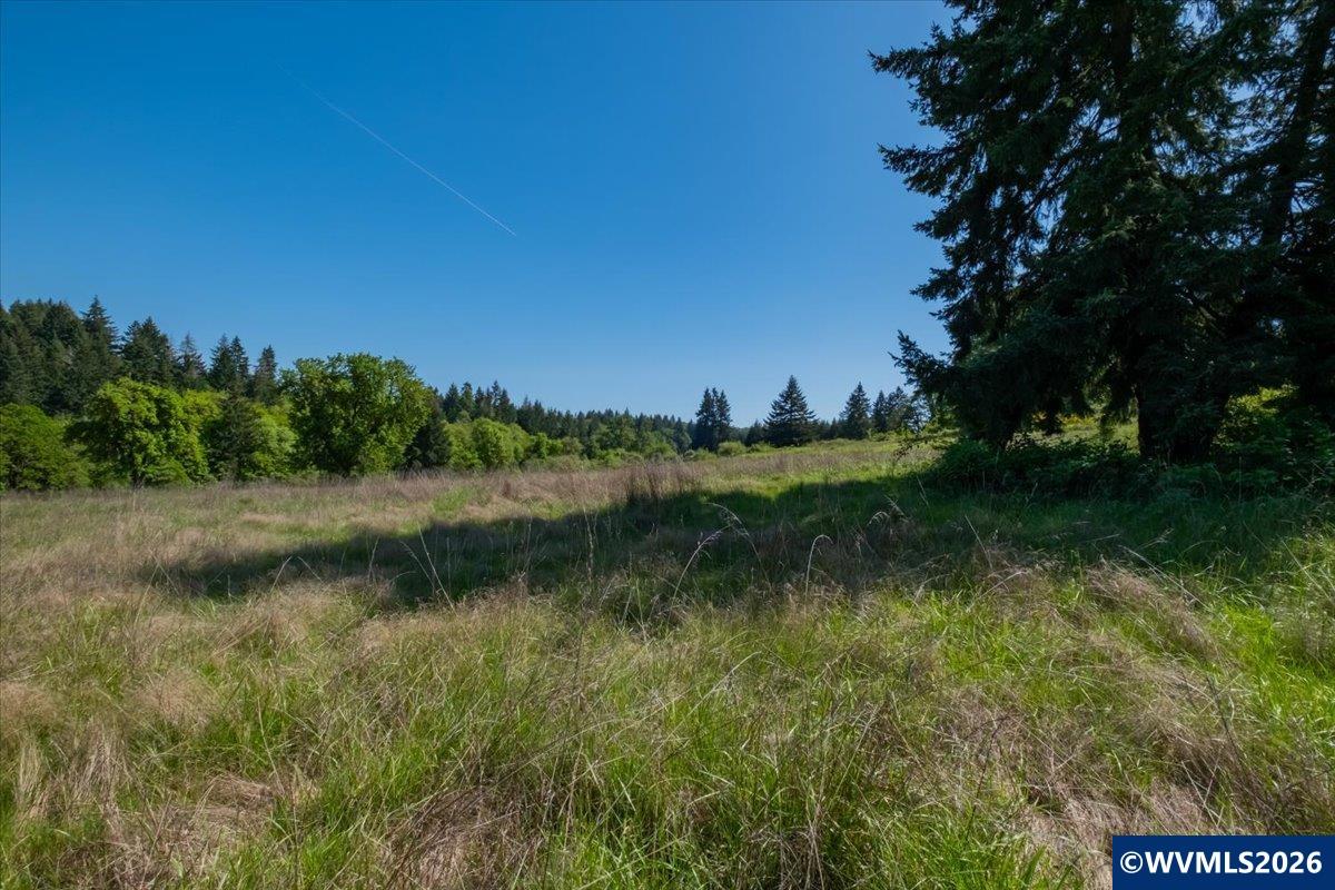 201560 Orchard Tract Road Monroe, OR 97456 - Photo 21 of 23