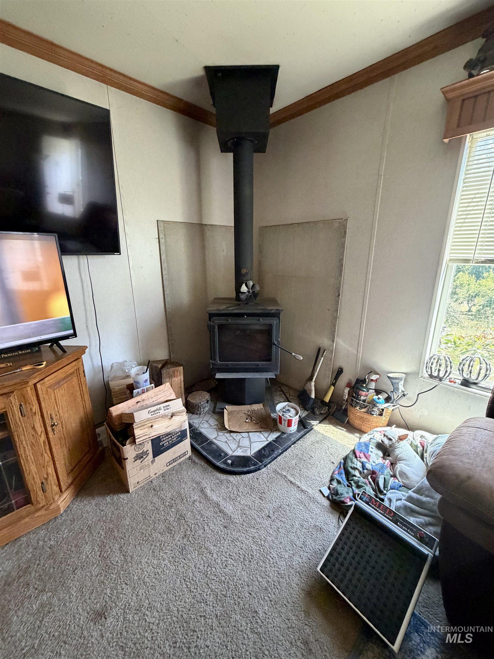 2685 Luke's Gulch Road Stites, ID 83552 - Photo 27 of 28