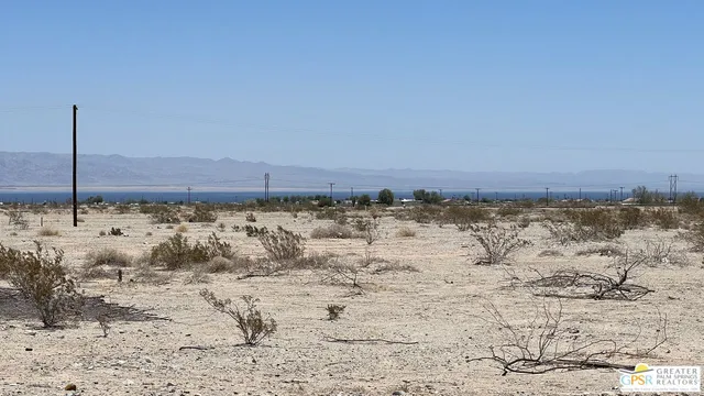 a view of a dry yard with a large tree