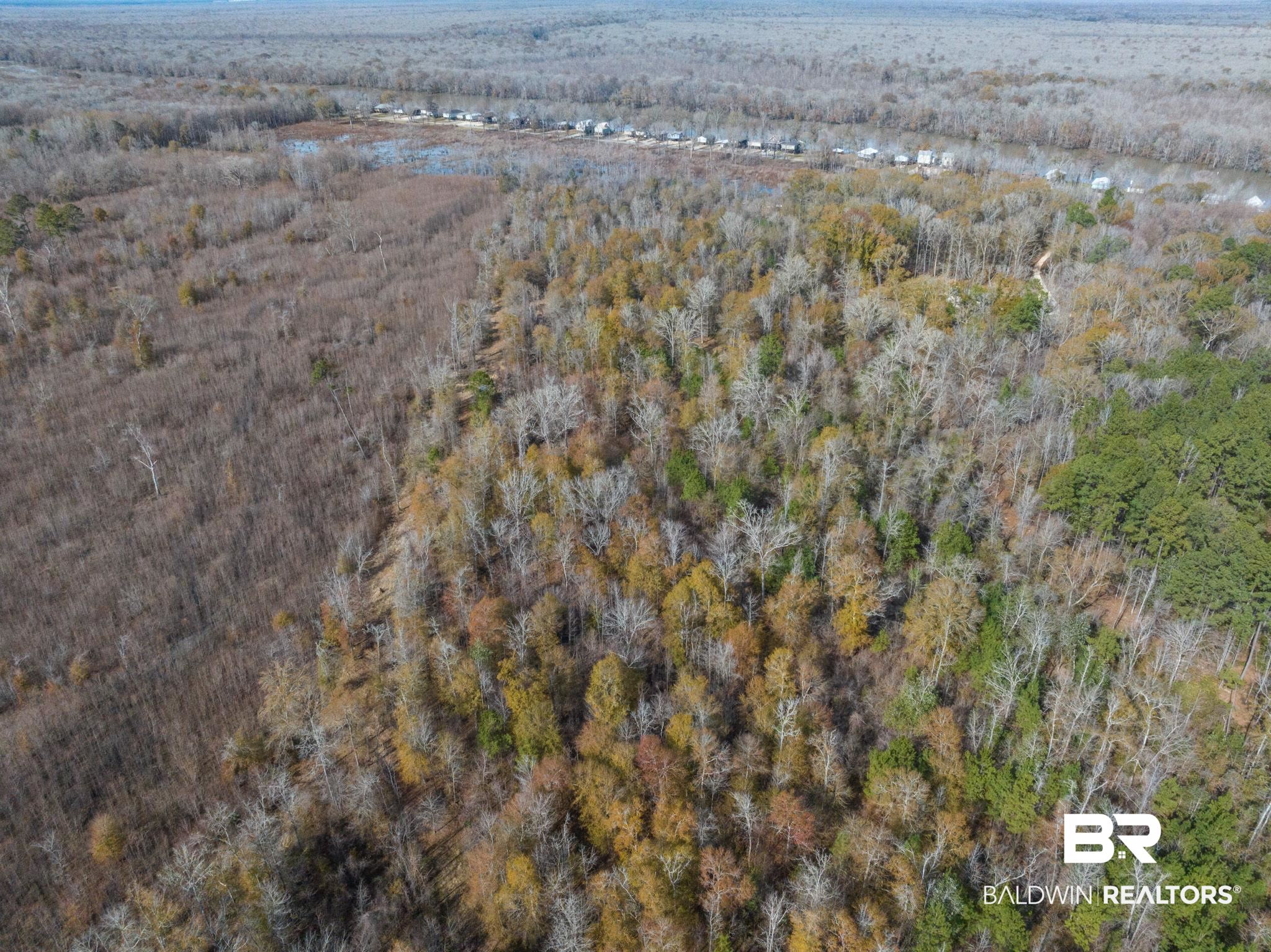 0 Bryant's Lndg Road Stockton, AL 36579 - Photo 15 of 29