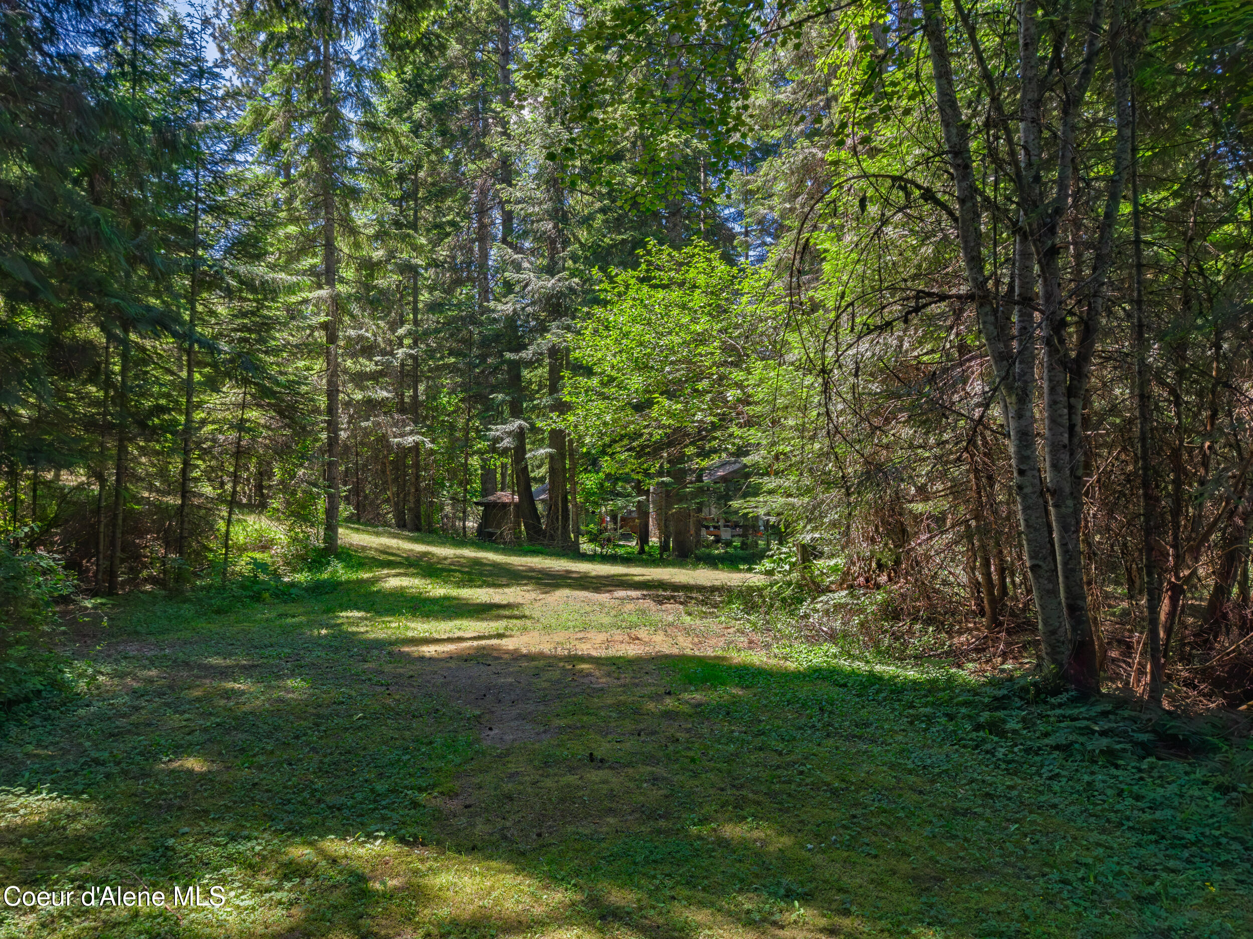 30839 St Joe River Road Calder, ID 83808 - Photo 18 of 33 Lawn
