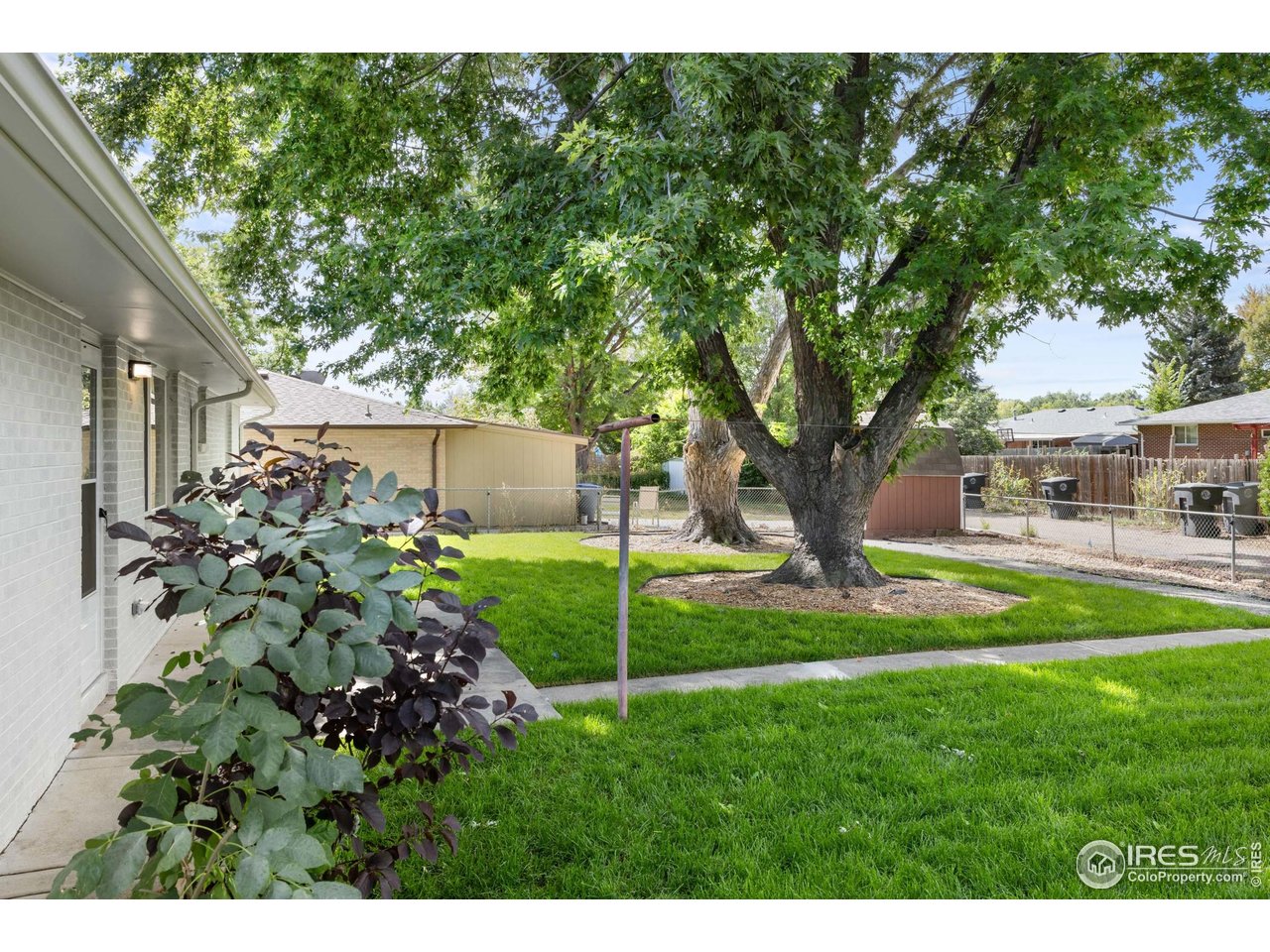 1245 Sumner Street Longmont, CO 80501 - Photo 23 of 25 a view of a garden with a tree