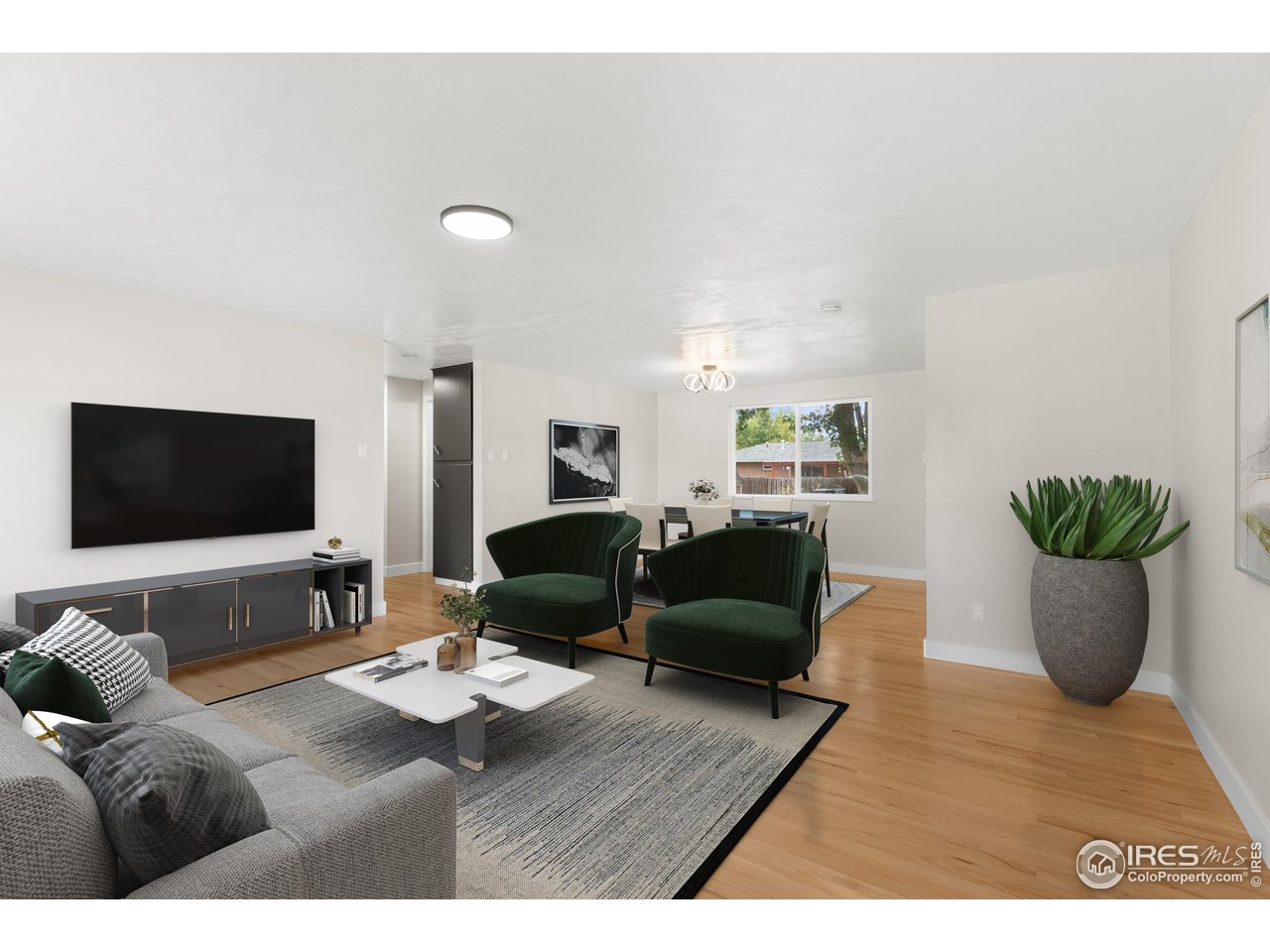 1245 Sumner Street Longmont, CO 80501 - Photo 7 of 25 a living room with furniture potted plant and a flat screen tv
