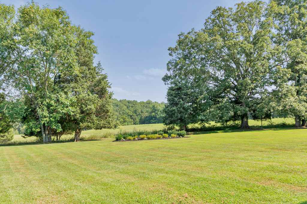 102 West Ridge Court Keswick, VA 22947 - Photo 23 of 35 a view of yard with swimming pool and green space