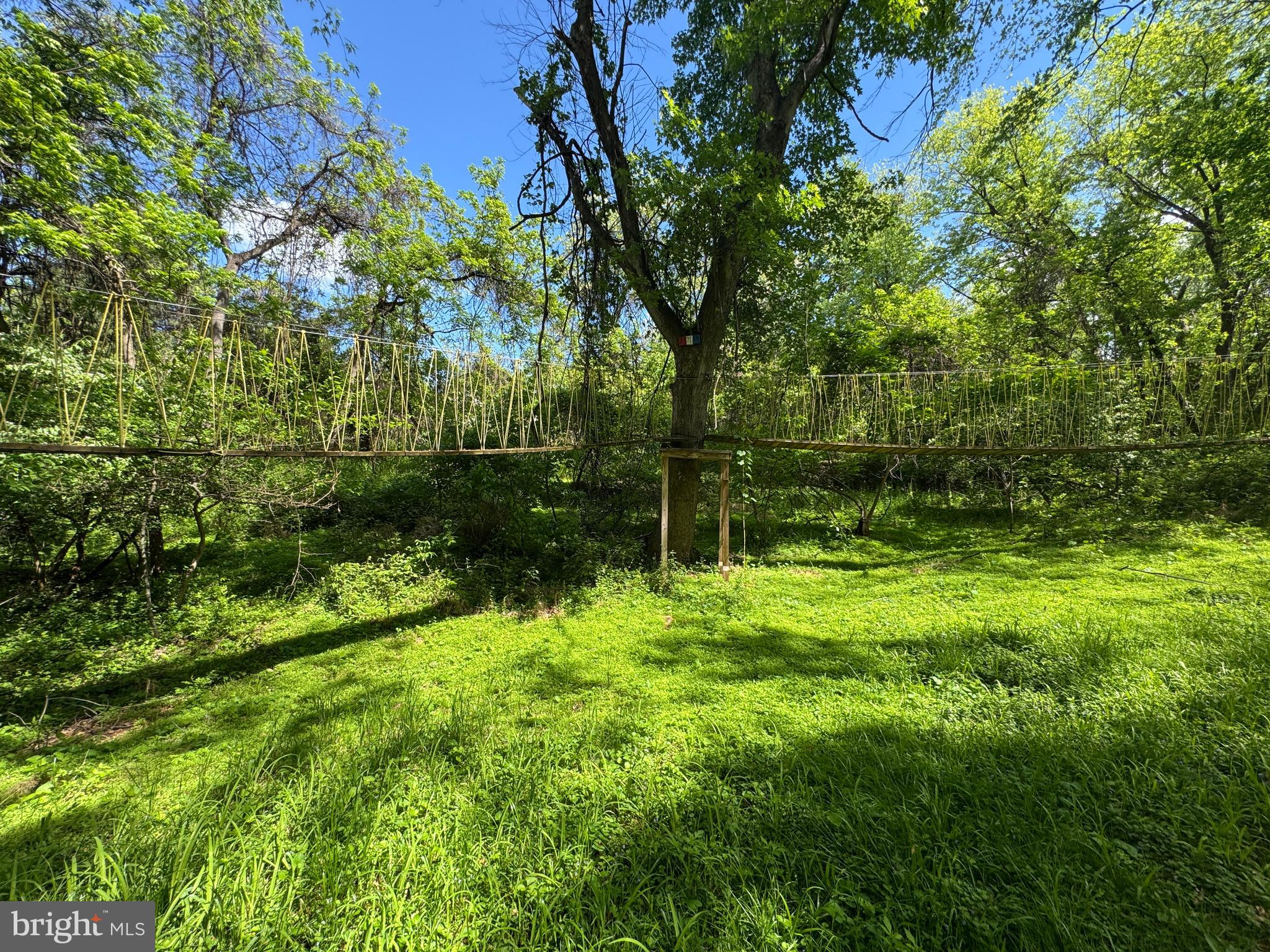 2915 Fry Road Jefferson, MD 21755 - Photo 42 of 61 Rope BridgeBackyard with trees and ros On Property