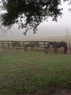 1600 Northeast 110th St  