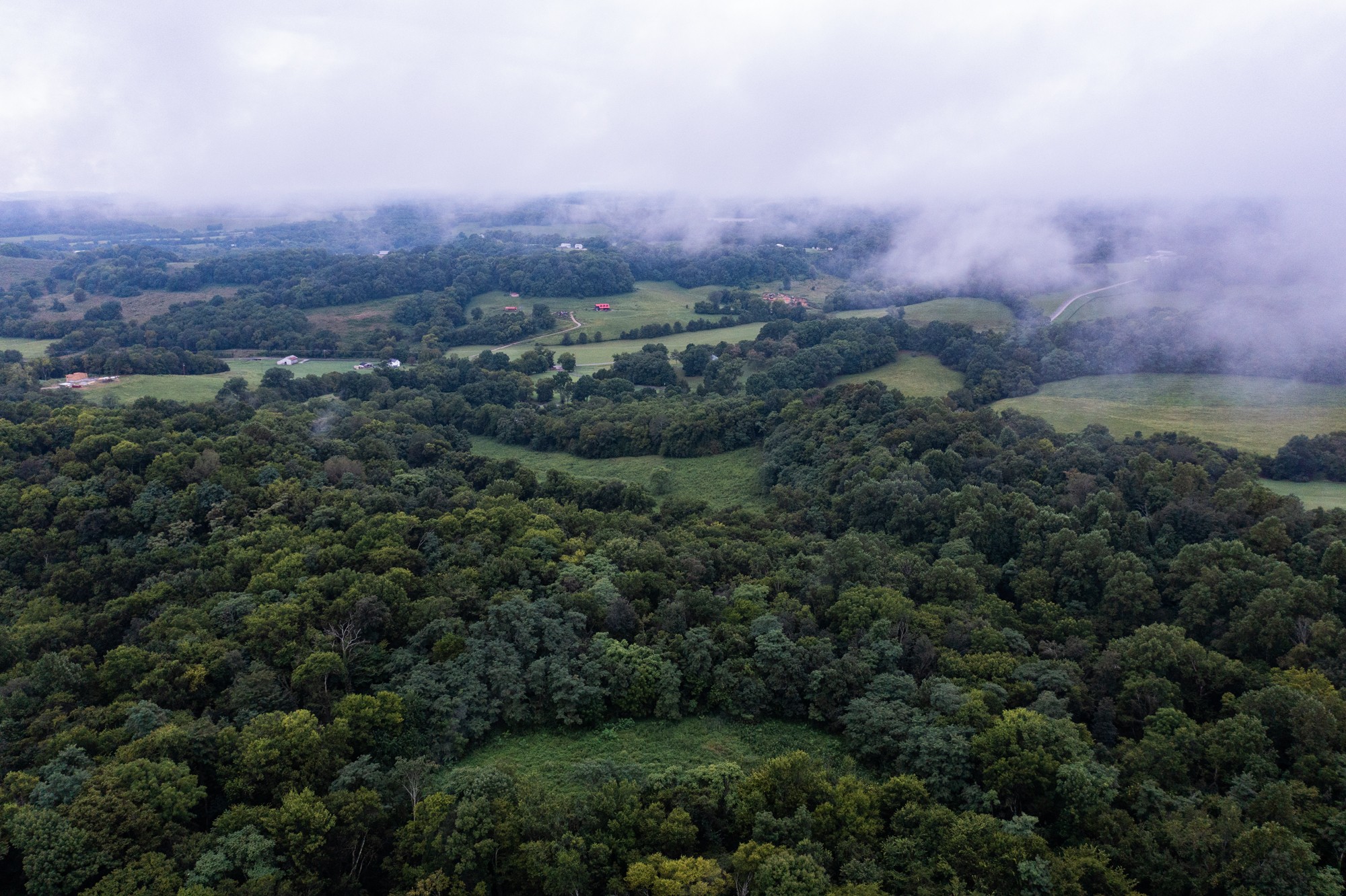 5507 Snow Creek Road Santa Fe, TN 38482 - Photo 1 of 19 an aerial view of residential house with outdoor space and trees all around