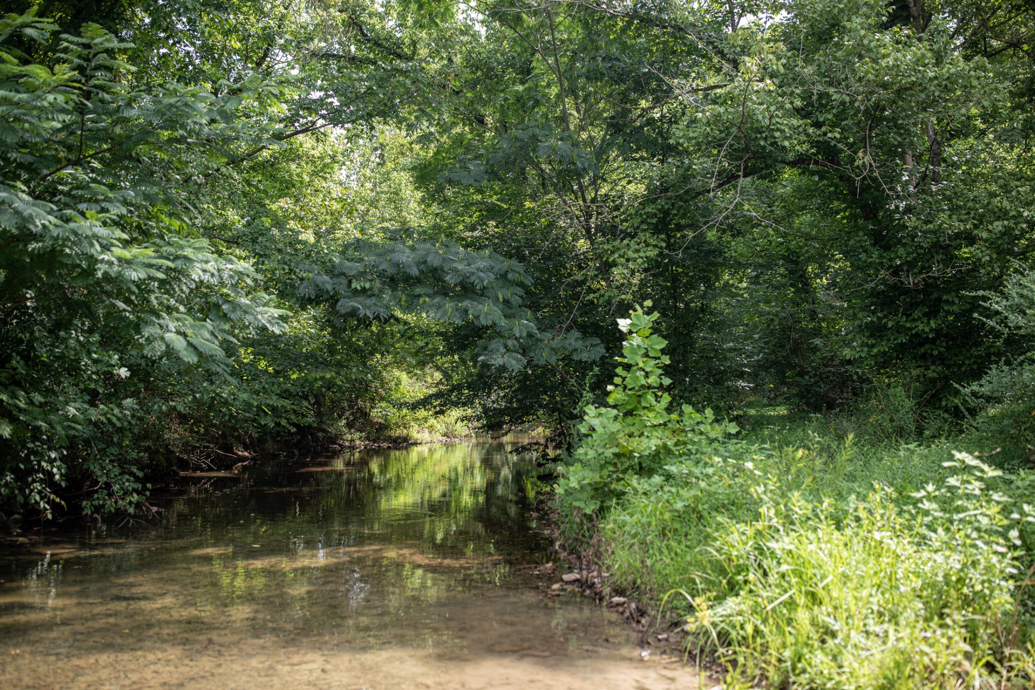 5507 Snow Creek Road Santa Fe, TN 38482 - Photo 16 of 19 a view of lake with green space
