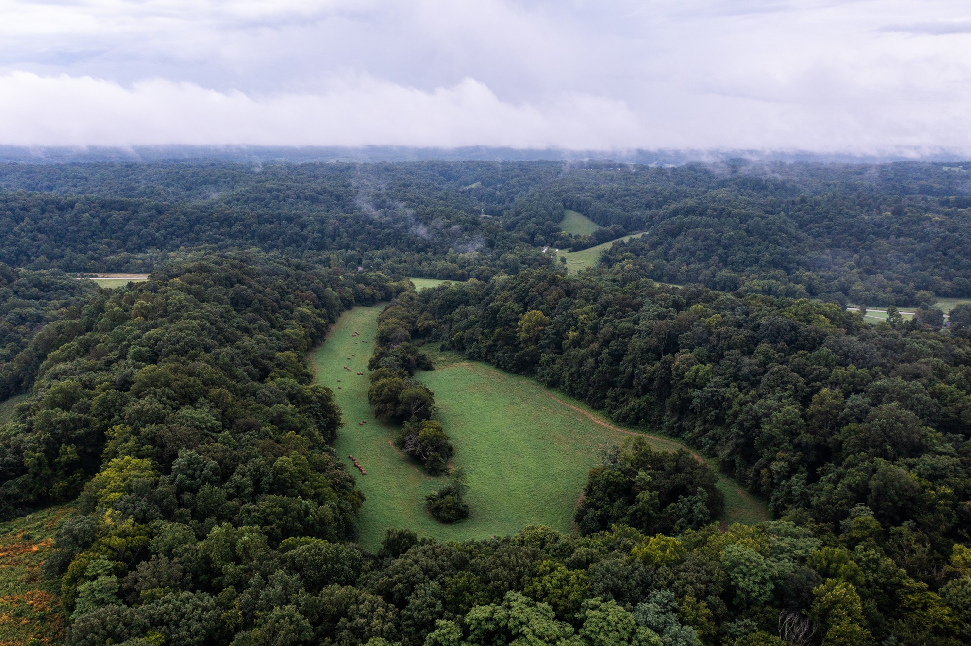 5507 Snow Creek Road Santa Fe, TN 38482 - Photo 18 of 19 an aerial view of residential house with green space and fog