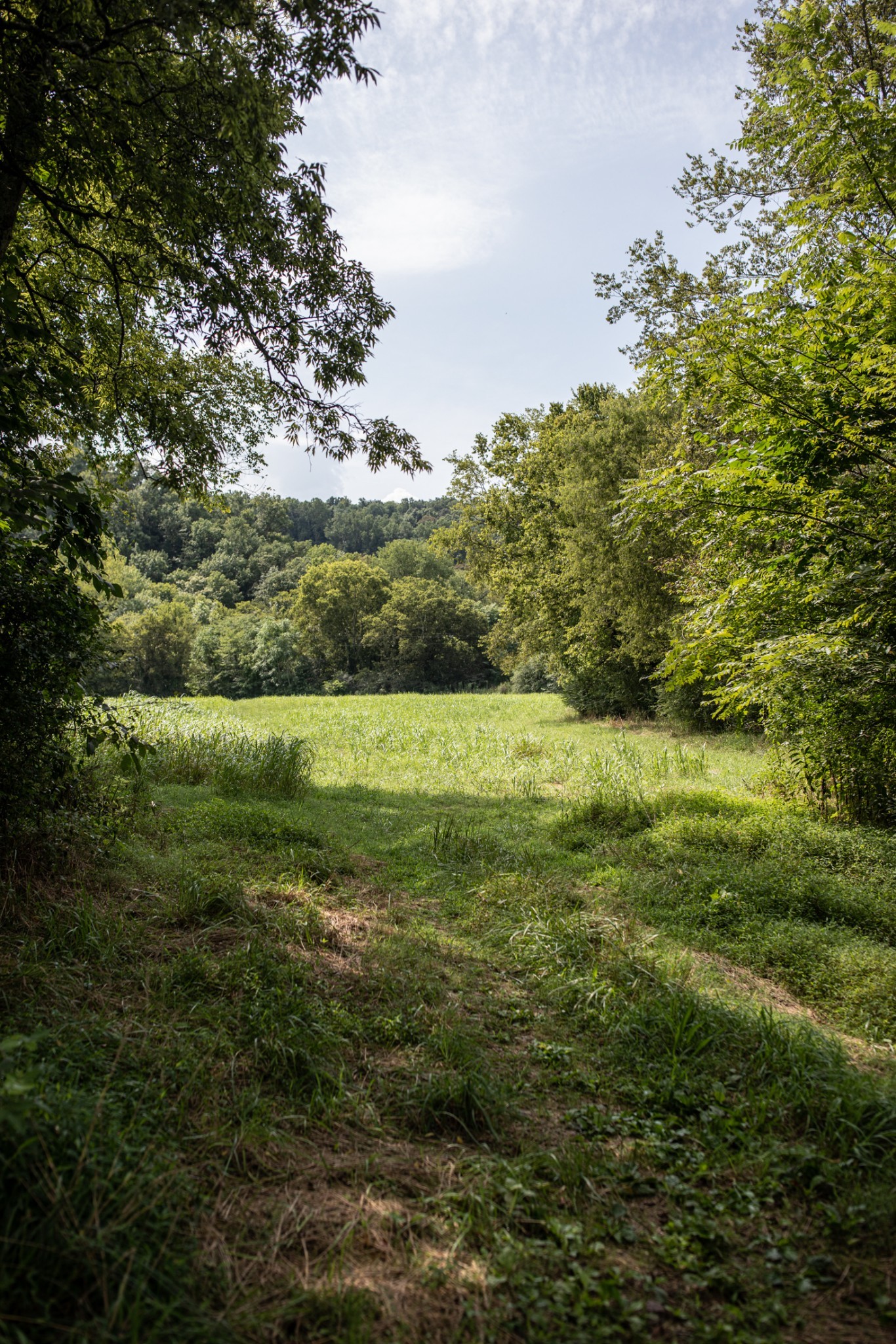 5507 Snow Creek Road Santa Fe, TN 38482 - Photo 5 of 19 a view of a field with an ocean