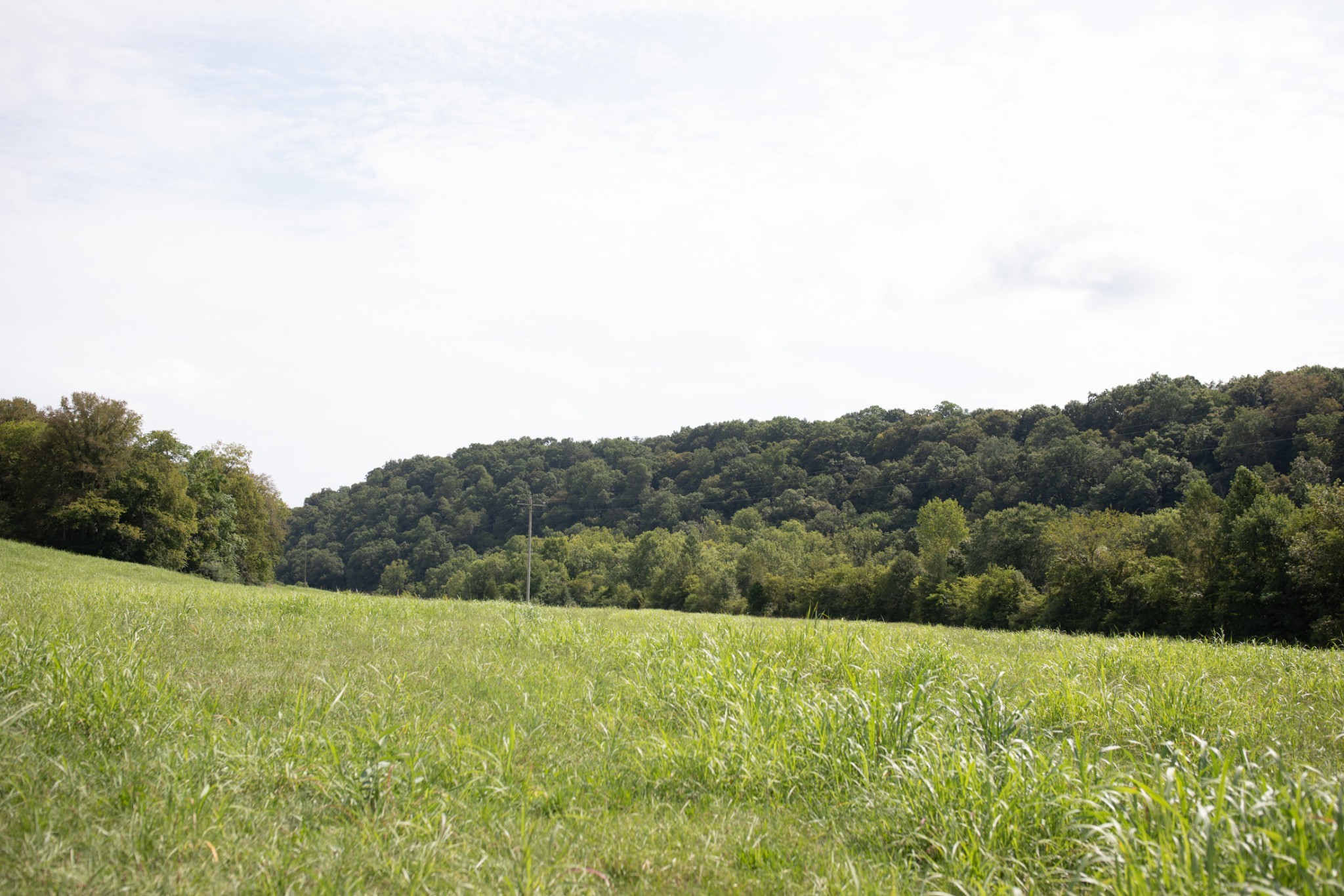 5507 Snow Creek Road Santa Fe, TN 38482 - Photo 7 of 19 a view of a field with a lake