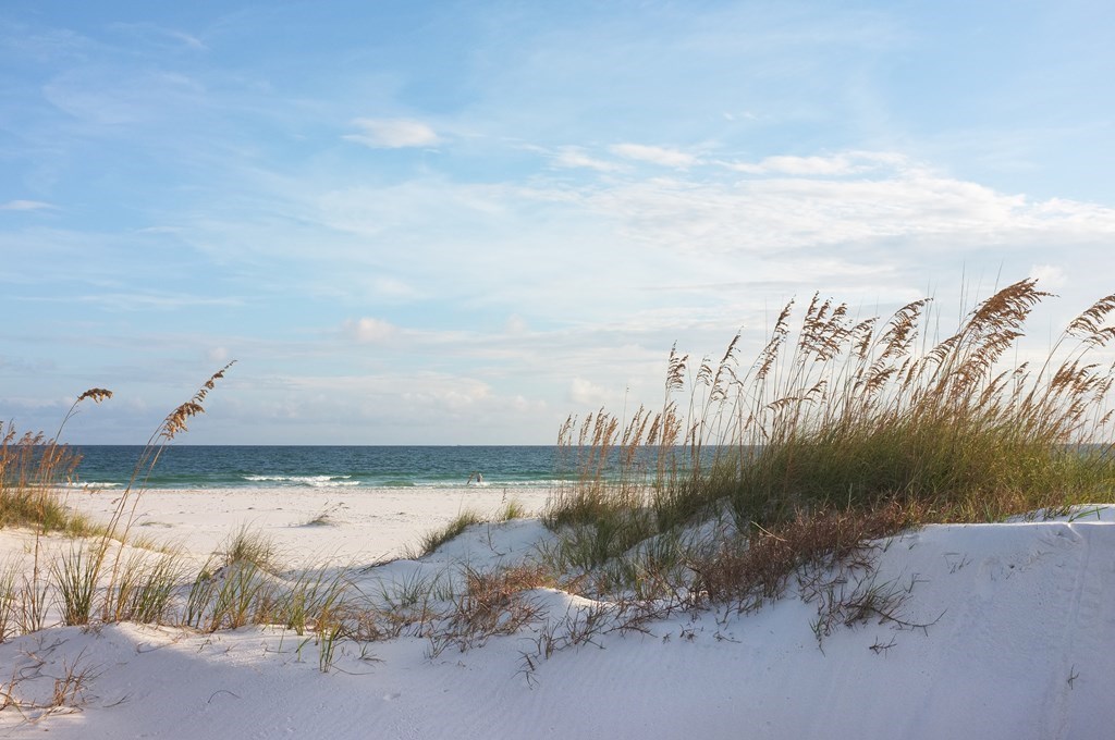 5 Eventide Drive Port St. Joe, FL 32456 - Photo 14 of 19