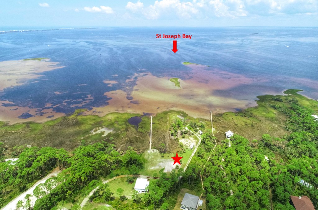 5 Eventide Drive Port St. Joe, FL 32456 - Photo 3 of 19