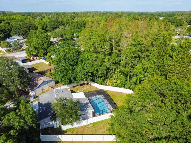 a view of a swimming pool with lawn chairs and plants