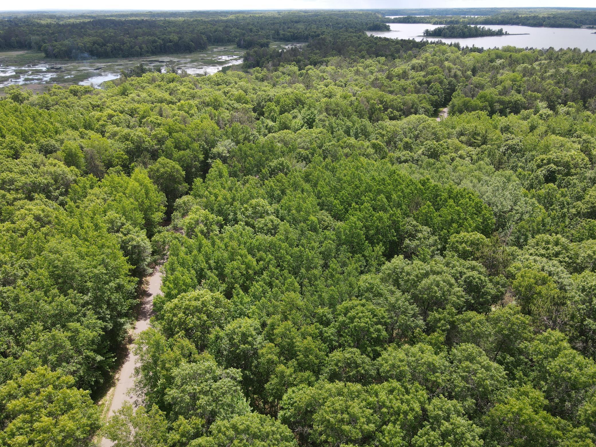 Lot 14 Loon Lake Road Danbury, WI 54830 - Photo 16 of 16