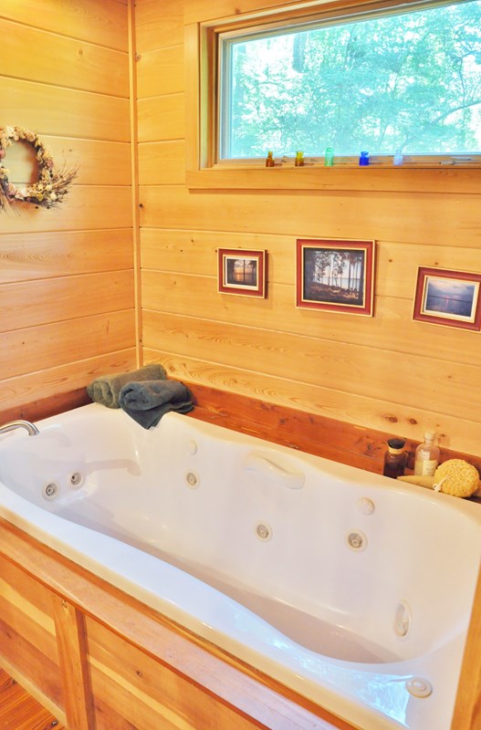 443 Vining Branch Road Georgetown, GA 39854 - Photo 30 of 46 Master Bath - Jetted Tub