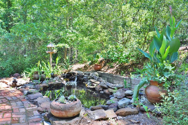 443 Vining Branch Road Georgetown, GA 39854 - Photo 4 of 46 Gallery Image 4