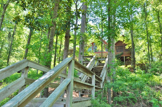 443 Vining Branch Road Georgetown, GA 39854 - Photo 40 of 46 Gallery Image 40