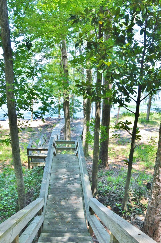 443 Vining Branch Road Georgetown, GA 39854 - Photo 41 of 46 Path to Boat House