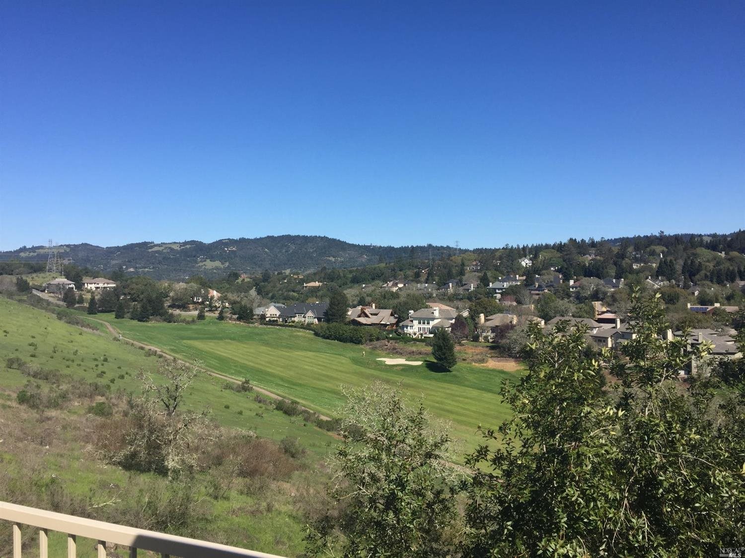 a view of a grassy field with trees