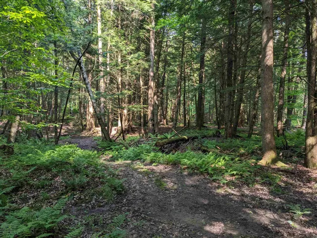 $169,000 | 0 East Street, North Clarendon, VT 05759