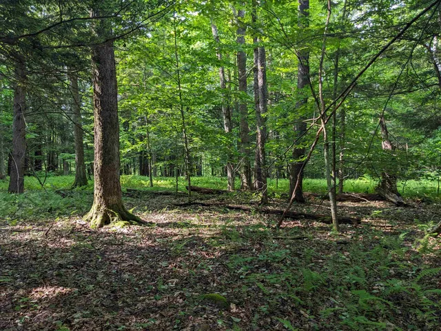 $169,000 | 0 East Street, North Clarendon, VT 05759