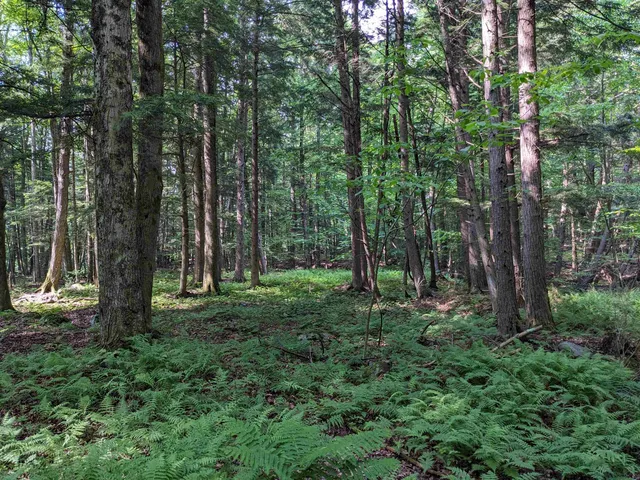 $169,000 | 0 East Street, North Clarendon, VT 05759