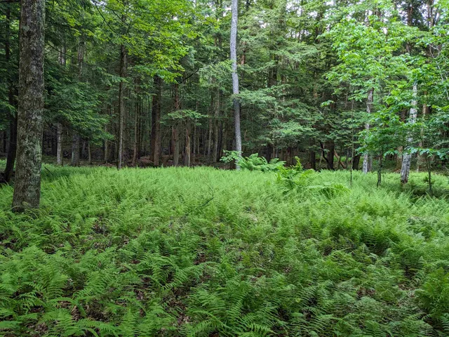 $169,000 | 0 East Street, North Clarendon, VT 05759