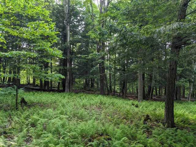 $169,000 | 0 East Street, North Clarendon, VT 05759