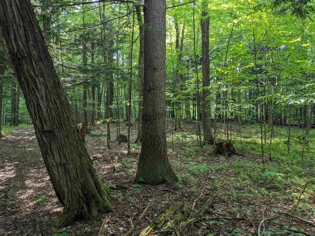 $169,000 | 0 East Street, North Clarendon, VT 05759