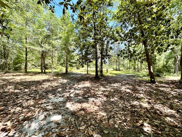 4266 Carr Road Holt, FL 32564 - Photo 14 of 28 Yard