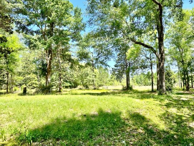 4266 Carr Road Holt, FL 32564 - Photo 15 of 28 Yard