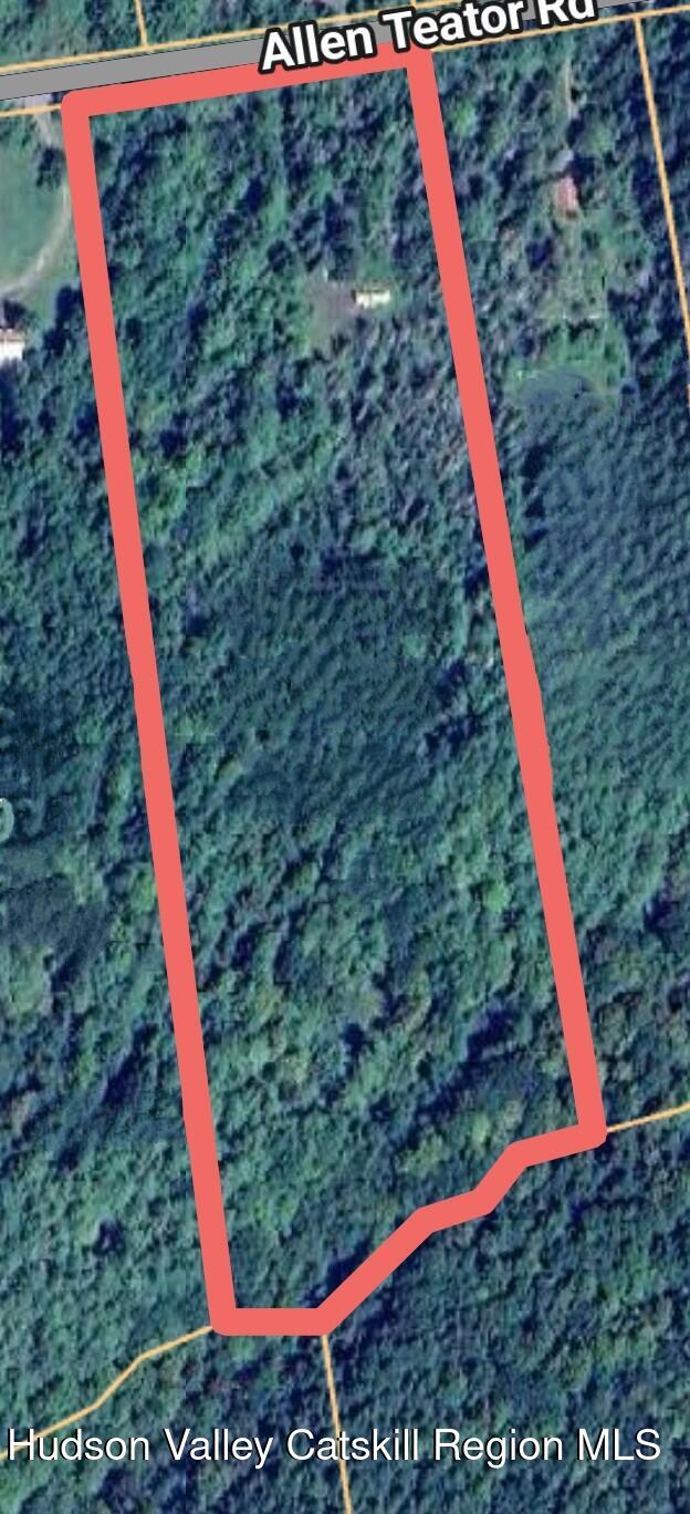615 Allen Teator Road Durham, NY 12469 - Photo 2 of 9 Overview