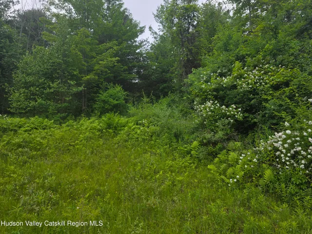 $75,000 | 615 Allen Teator Road, Durham, NY 12469