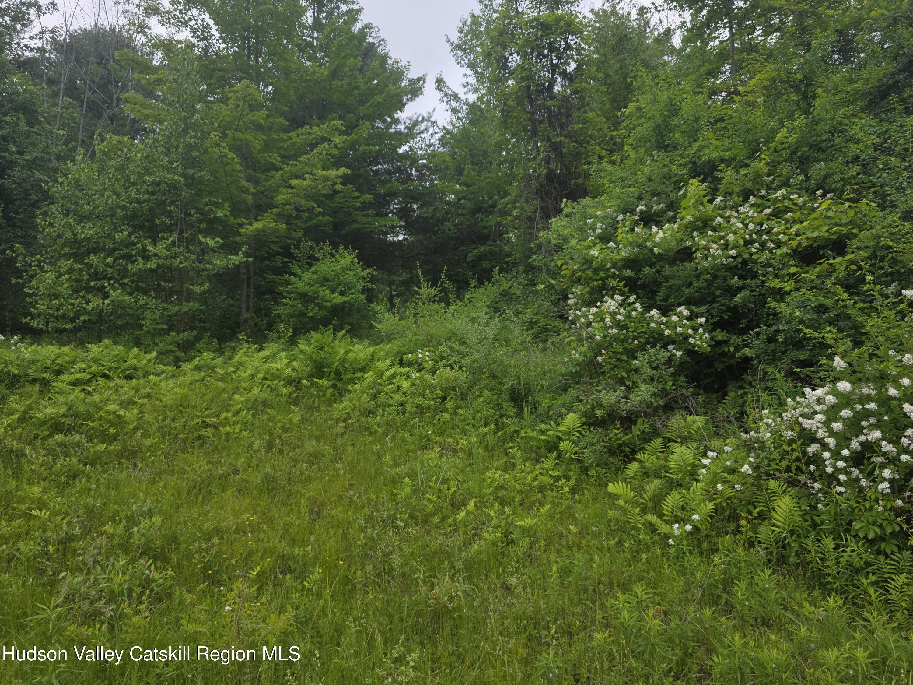 615 Allen Teator Road Durham, NY 12469 - Photo 3 of 9 Lot