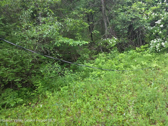 $75,000 | 615 Allen Teator Road, Durham, NY 12469