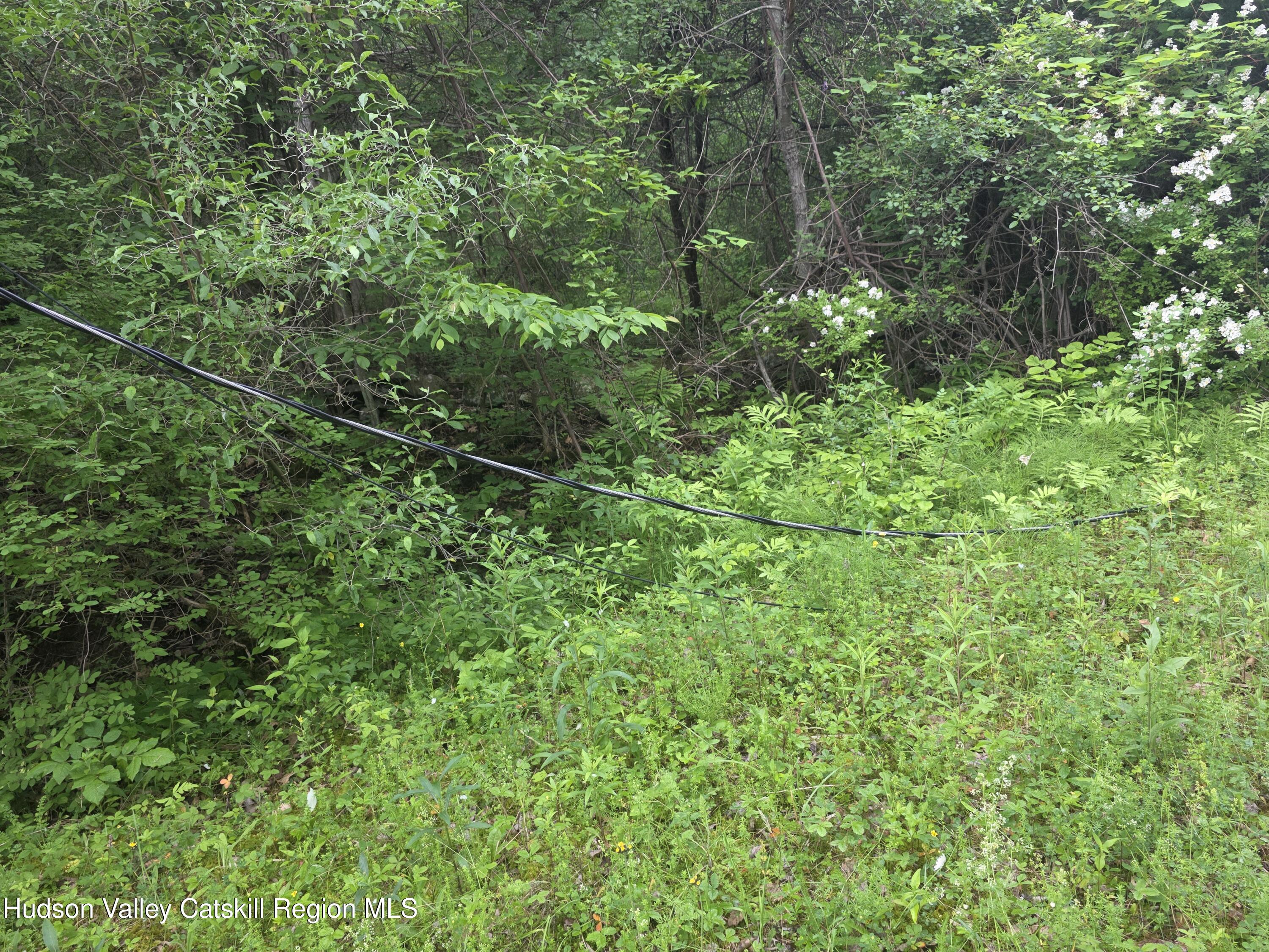 615 Allen Teator Road Durham, NY 12469 - Photo 7 of 9 Lot