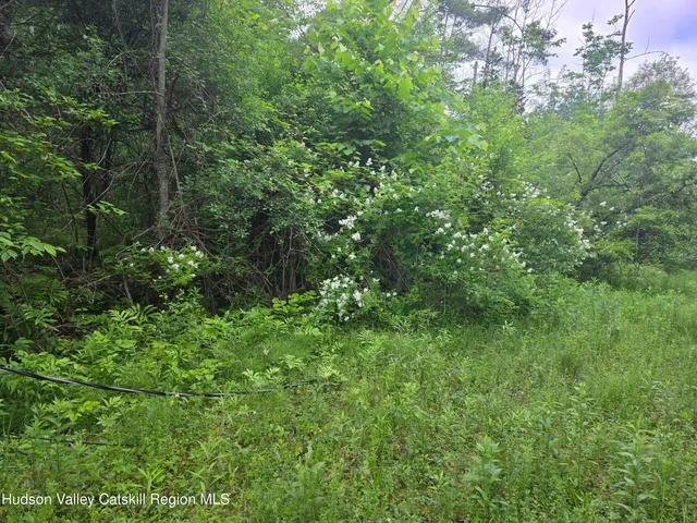 $75,000 | 615 Allen Teator Road, Durham, NY 12469