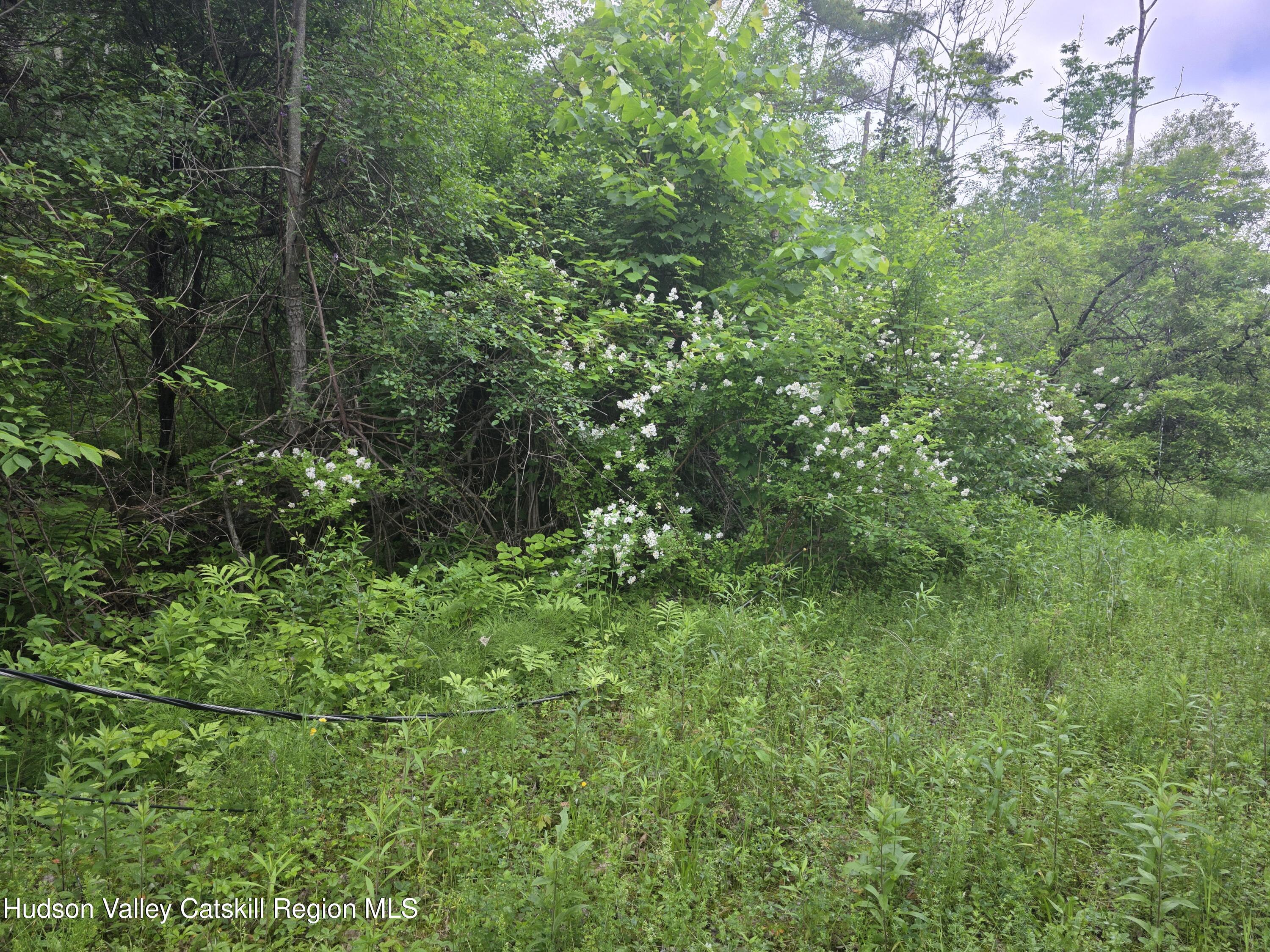 615 Allen Teator Road Durham, NY 12469 - Photo 8 of 9 Lot