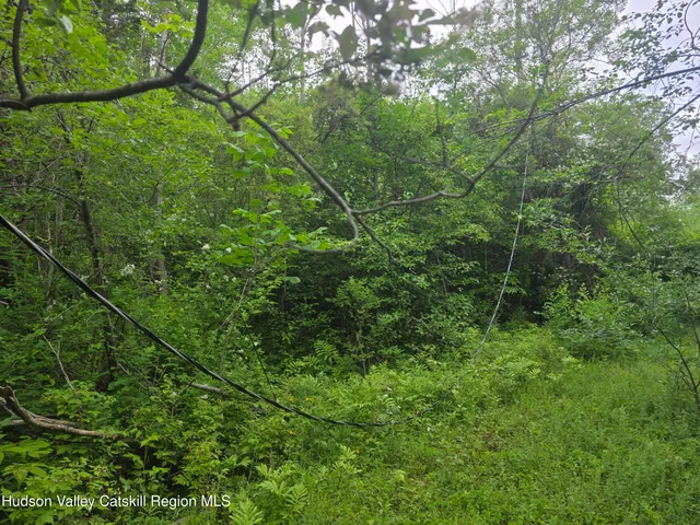 $75,000 | 615 Allen Teator Road, Durham, NY 12469