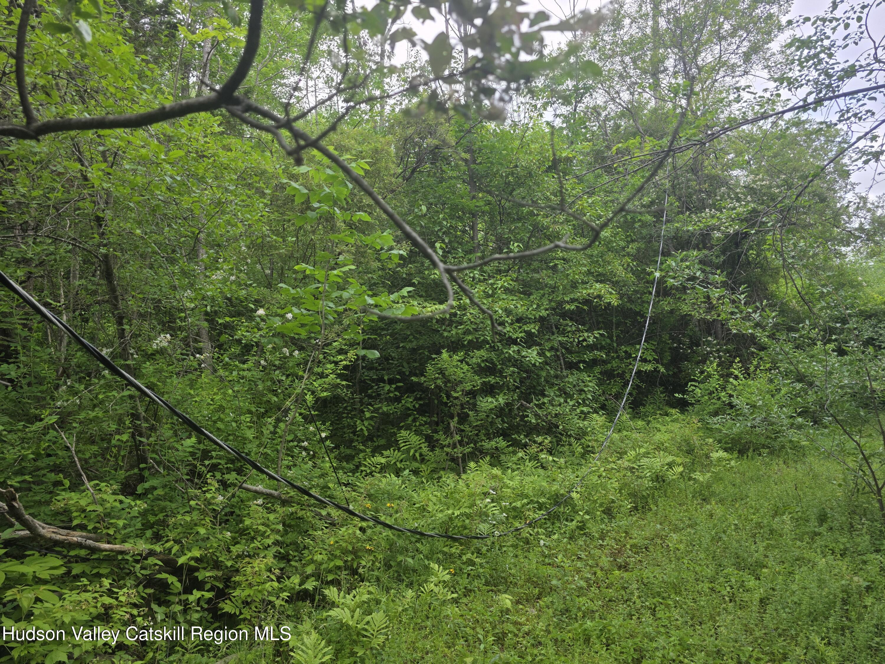 615 Allen Teator Road Durham, NY 12469 - Photo 9 of 9 Lot