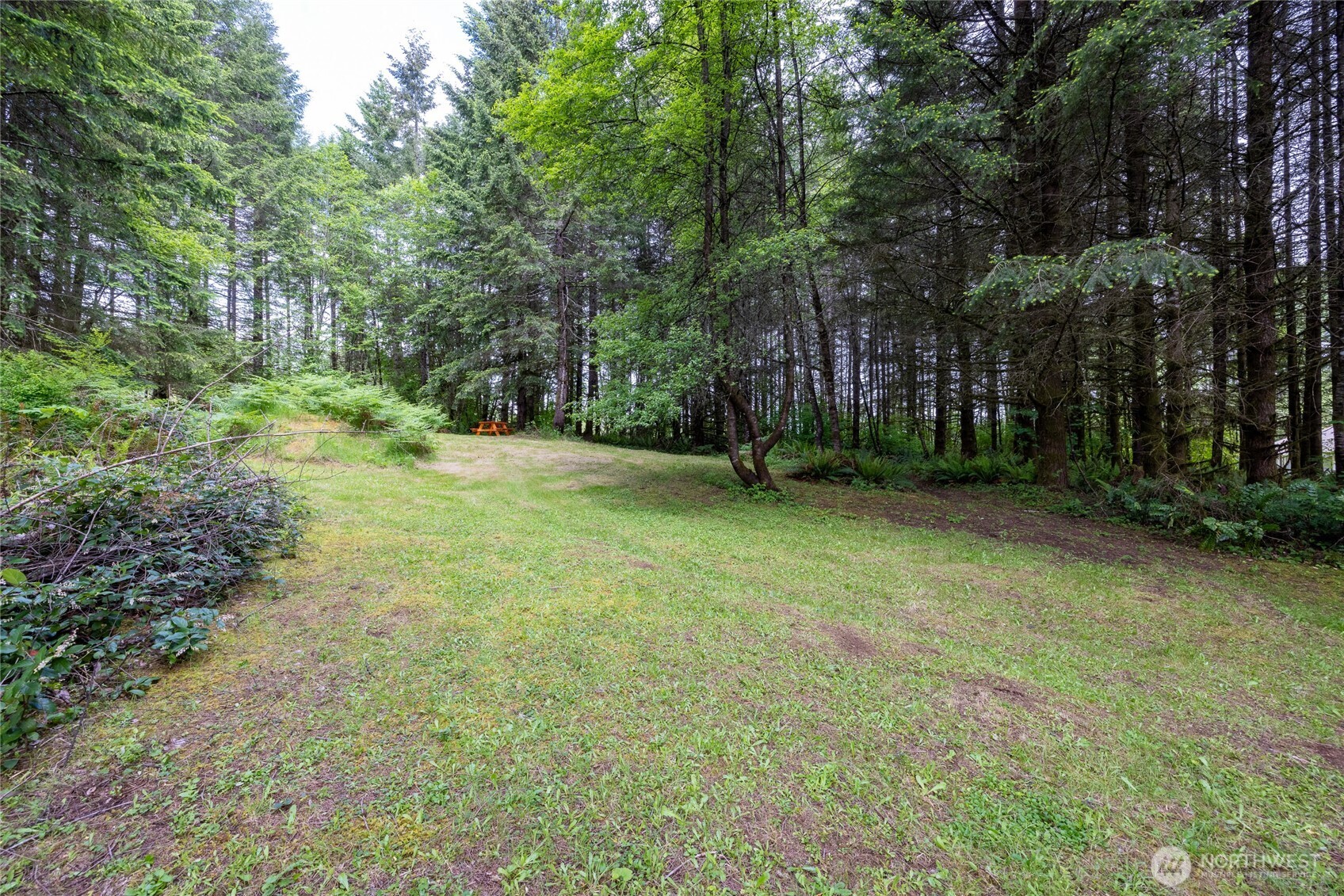 123 Lentz Road North Winlock, WA 98596 - Photo 35 of 40