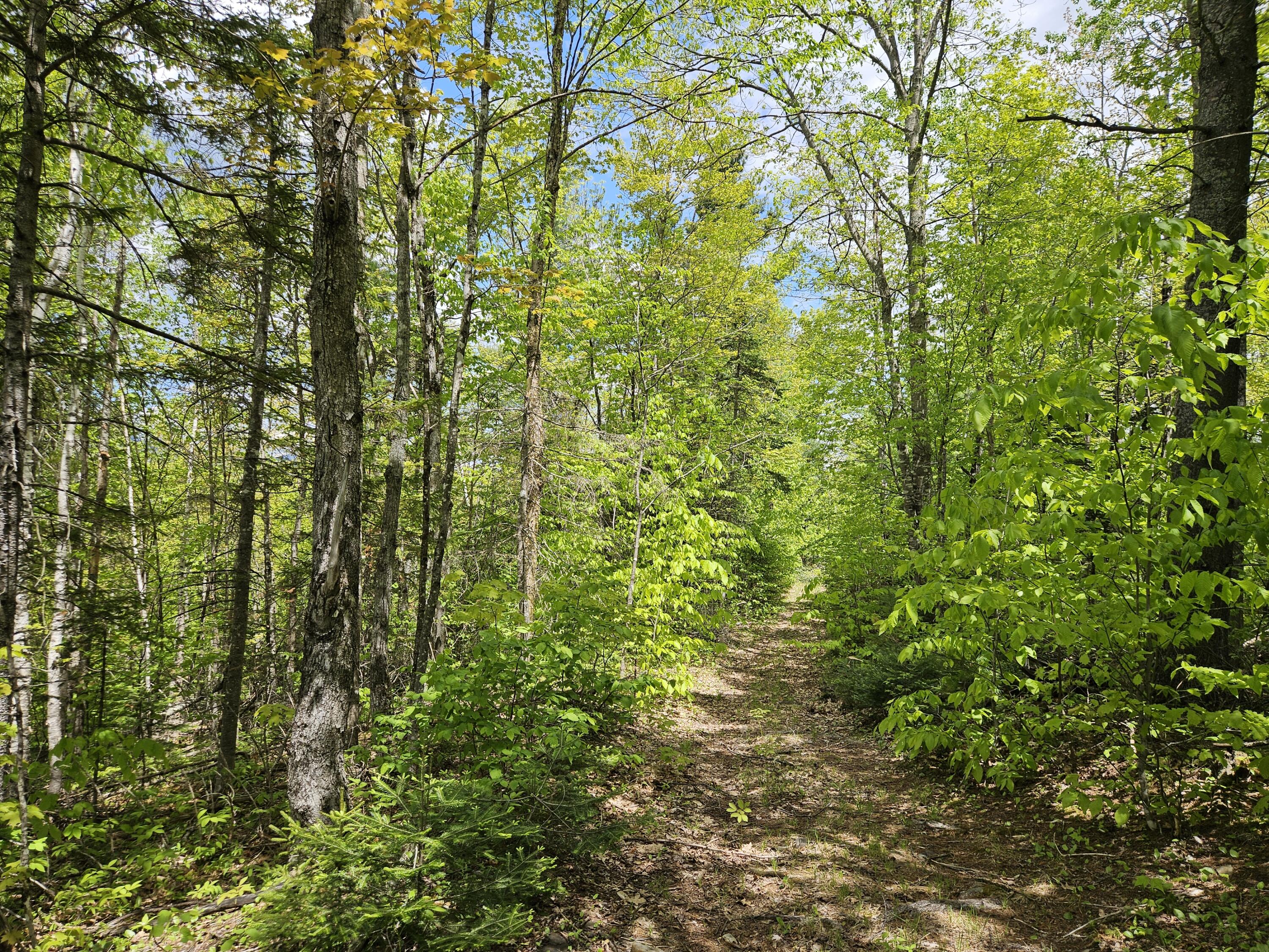 2 Mud Pond Road Madrid Township, ME 04966 - Photo 32 of 42 Madrid Lot