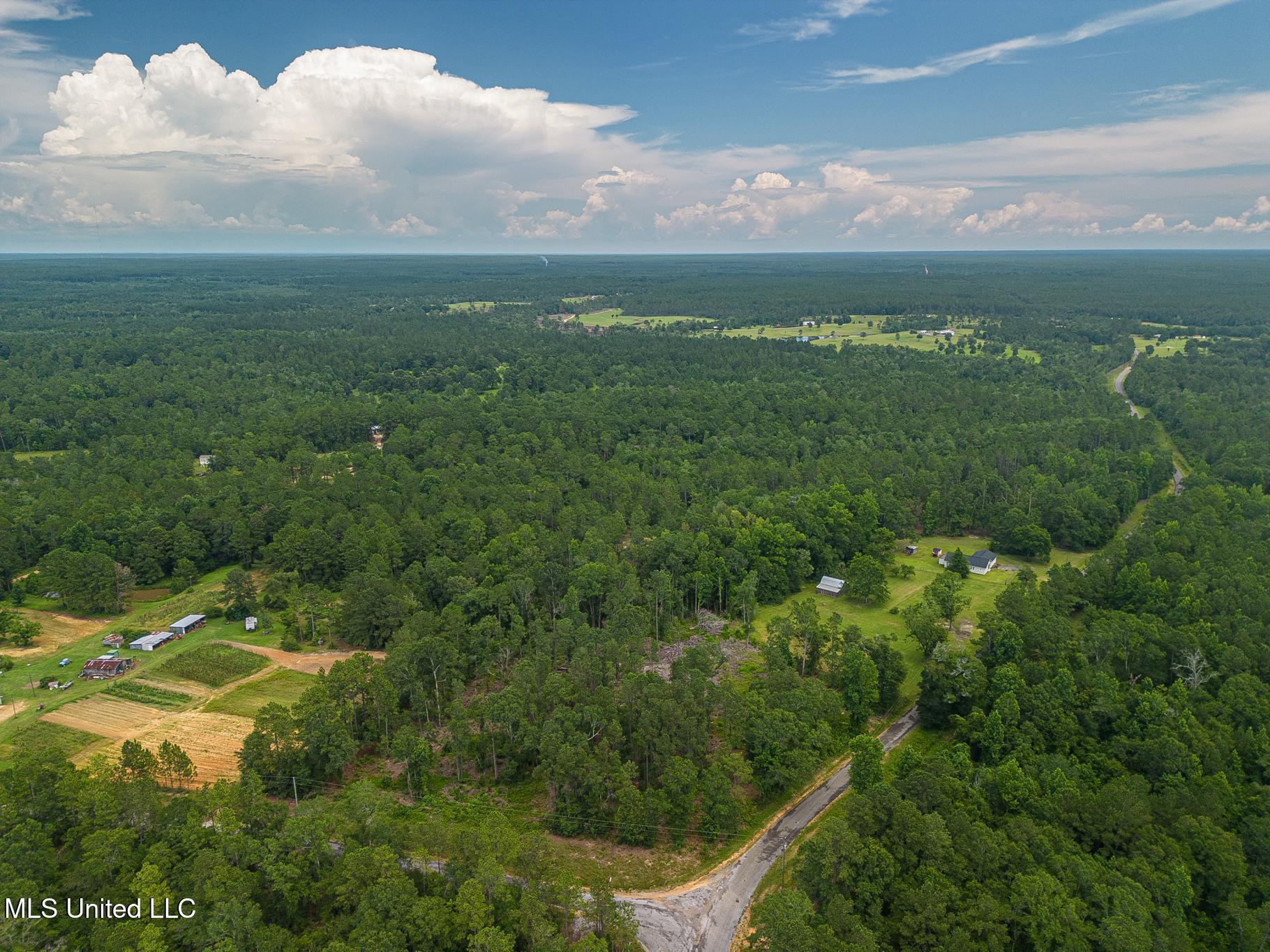 1425 East McHenry Road Perkinston, MS 39573 - Photo 21 of 22 E McHenry-2